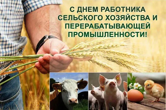 Открытки с Днем работника сельского хозяйства. Картинки с Днем работника сельского хозяйства красивые и новые