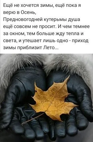 Картинки "С последним Днем осени". С последним Днем осени - картинки с надписями 
