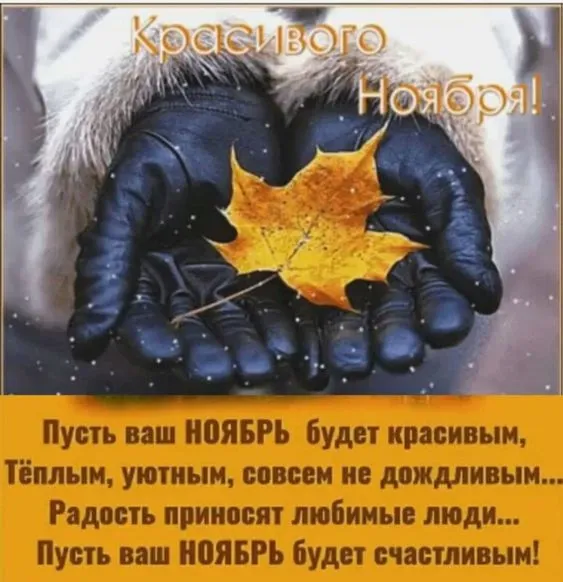 Картинки с 1 ноября (40 штук). 1 ноября - картинки красивые и прикольные