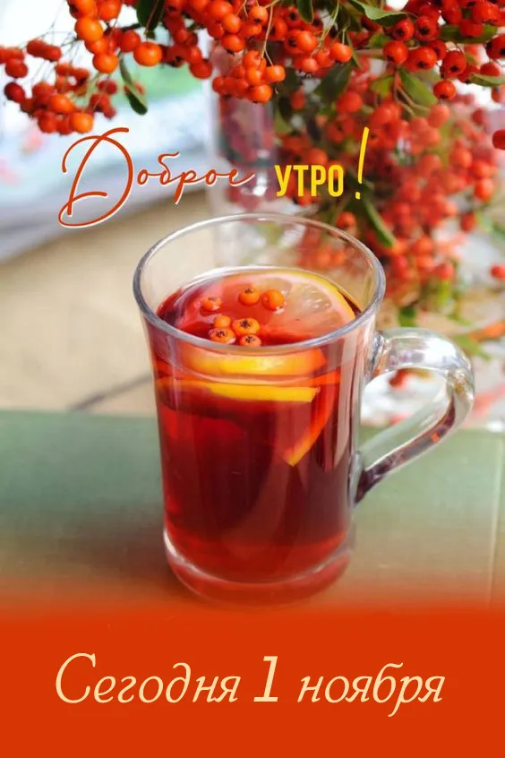Картинки с 1 ноября (40 штук). Картинки с 1 ноября (красивые и новые)
