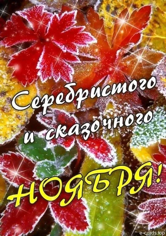 Картинки Доброе утро ноября. Картинки с Добрым утром ноября красивые и прикольноые