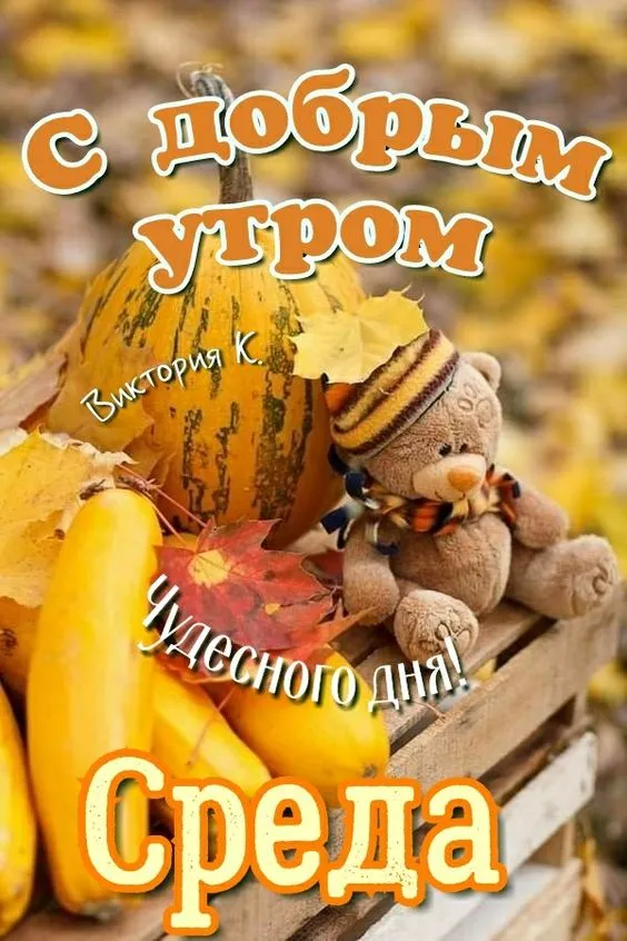 Картинки с Добрым утром среды. Картинки Доброе утро среды с надписями
