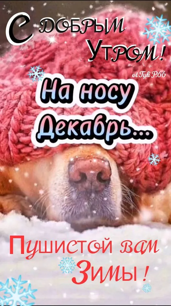 Картинки "С последним Днем осени". Прикольные картинки "С последним днем осени" 