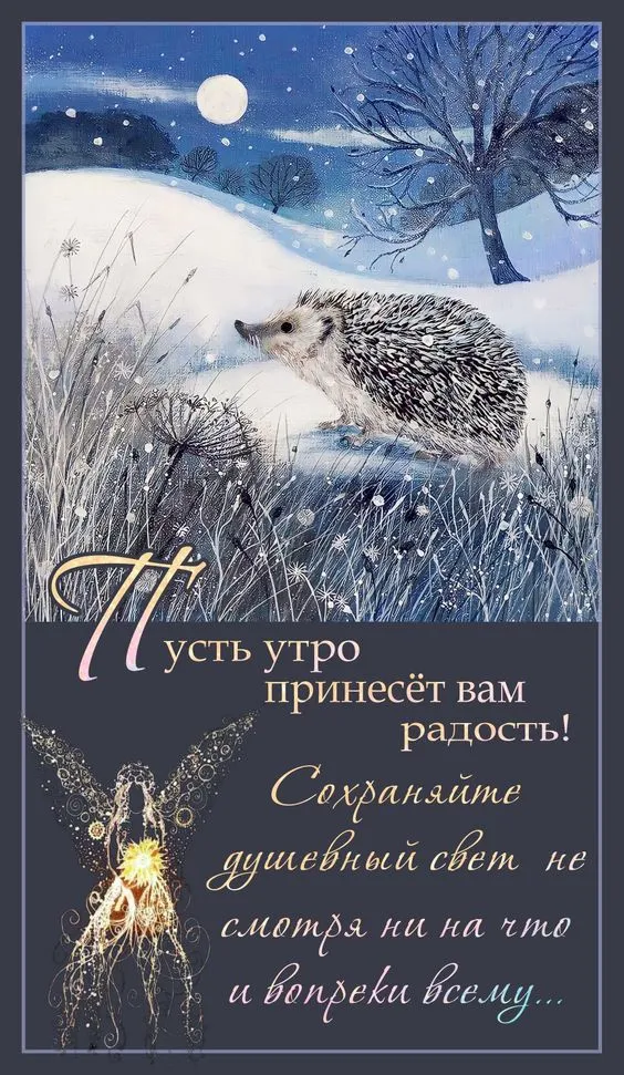 Картинки Доброго зимнего утра. С добрым зимним утром - картинки с пожеланиями