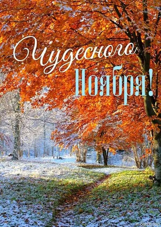 Картинки Доброе утро ноября. Картинки с Добрым утром ноября красивые и прикольноые