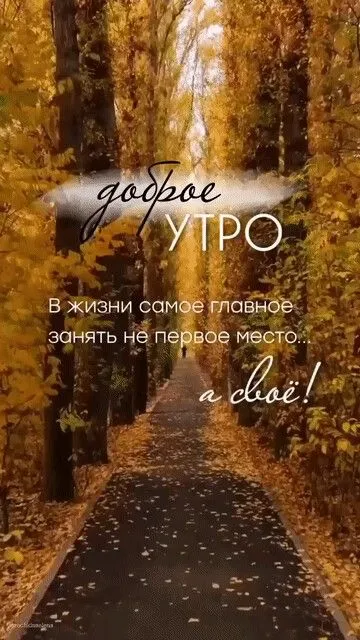 Картинки Доброе утро ноября. Красивые картинки с Добрым утром ноября