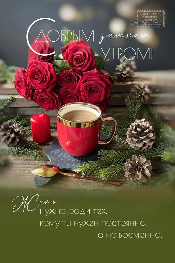 Картинки Доброго зимнего утра. С добрым зимним утром - картинки с пожеланиями