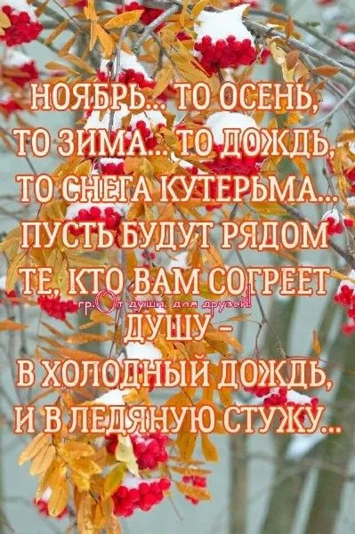 Картинки Доброе утро ноября. Красивые картинки с Добрым утром ноября