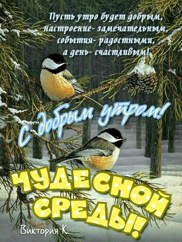 Картинки с Добрым утром среды. Картинки Доброе утро среды с надписями