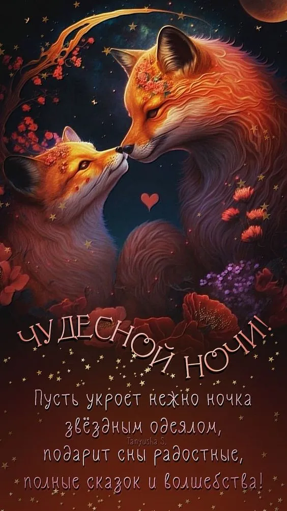 Доброй ночи - картинки красивые и прикольные. Спокойной и Доброй ночи - картинки с пожеланиями