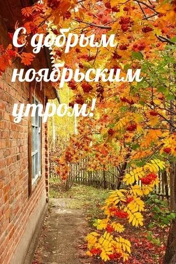 Картинки Доброе утро ноября. Красивые картинки с Добрым утром ноября