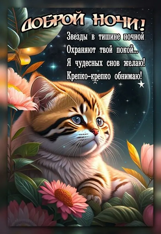 Доброй ночи - картинки красивые и прикольные. Картинки "Доброй ночи" красивые и новые