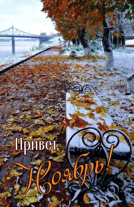 Картинки с 1 ноября (40 штук). 1 ноября - картинки красивые и прикольные
