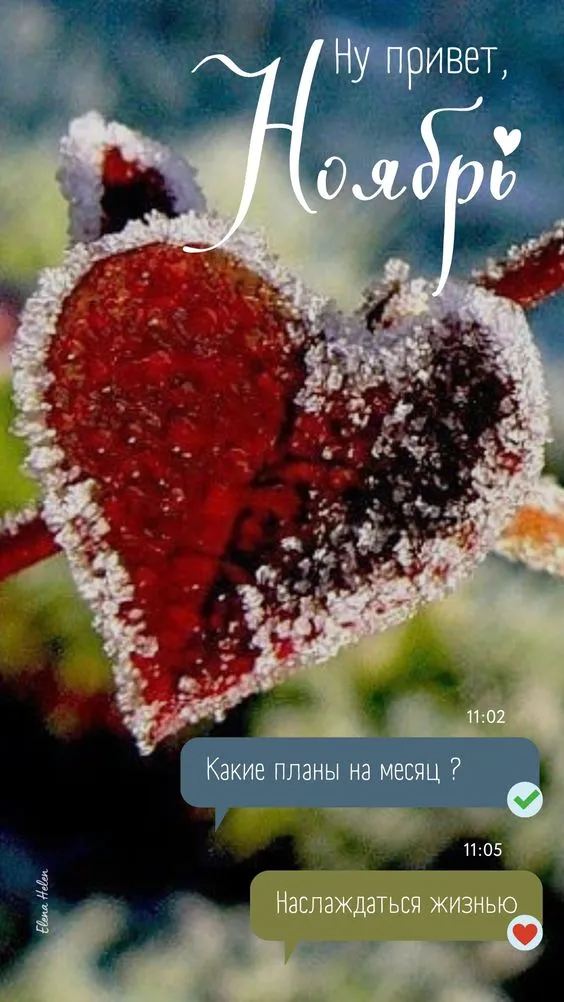 Картинки Доброе утро ноября. Картинки с Добрым утром ноября красивые и прикольноые