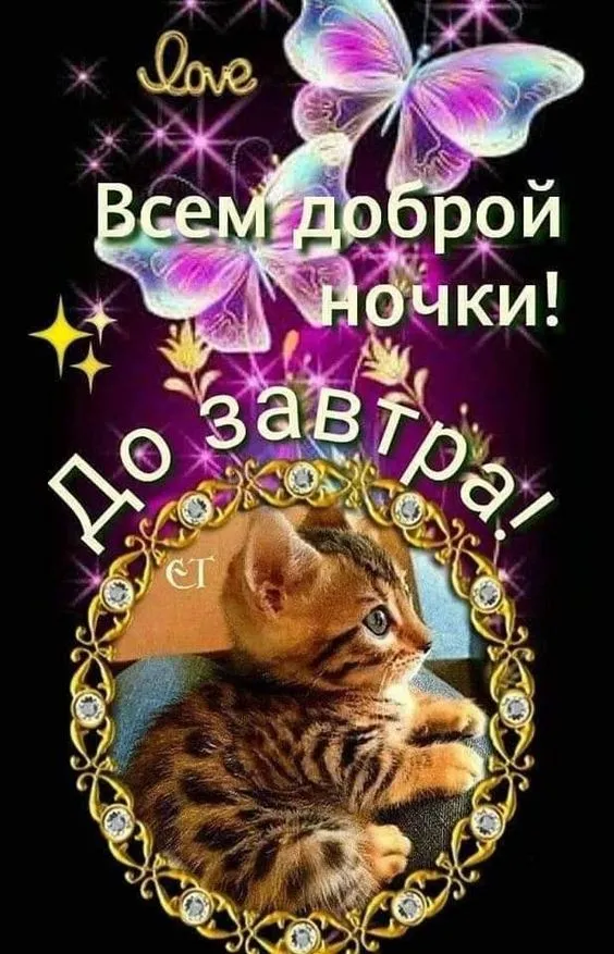 Доброй ночи - картинки красивые и прикольные. Картинки "Доброй ночи" красивые и новые