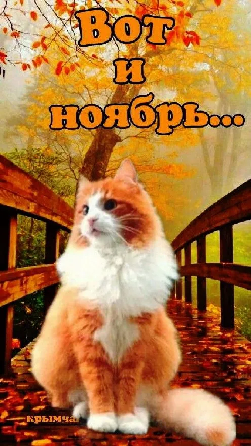 Картинки с 1 ноября (40 штук). Картинки с 1 ноября (красивые и новые)