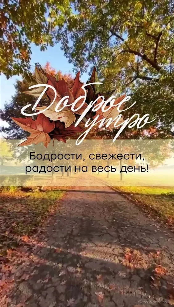 Картинки с 1 ноября (40 штук). 1 ноября - картинки красивые и прикольные