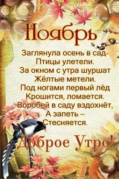 Картинки Доброе утро ноября. Картинки с Добрым утром ноября красивые и прикольноые