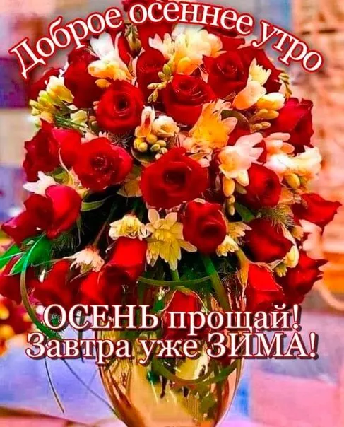 Картинки "С последним Днем осени". Прикольные картинки "С последним днем осени" 