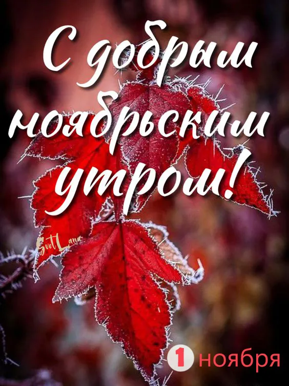 Картинки Доброе утро ноября. Красивые картинки с Добрым утром ноября