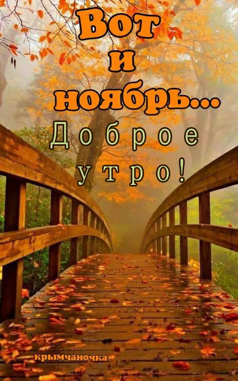 Картинки Доброе утро ноября. Красивые картинки с Добрым утром ноября