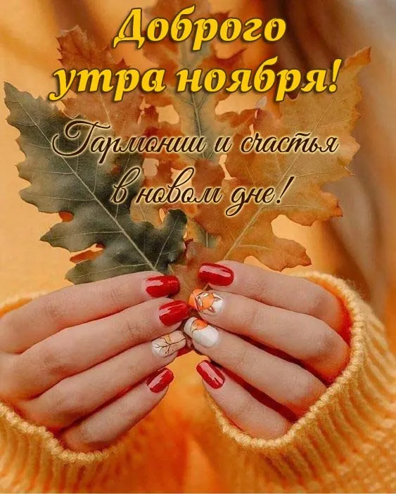 Картинки Доброе утро ноября. Картинки с Добрым утром ноября красивые и прикольноые