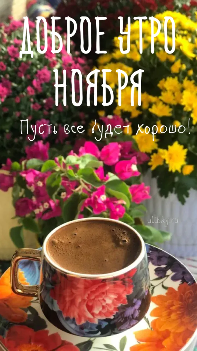 Картинки Доброе утро ноября. Картинки с Добрым утром ноября красивые и прикольноые
