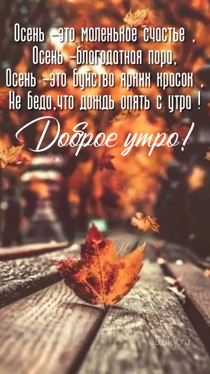 Картинки Доброе утро ноября. Красивые картинки с Добрым утром ноября