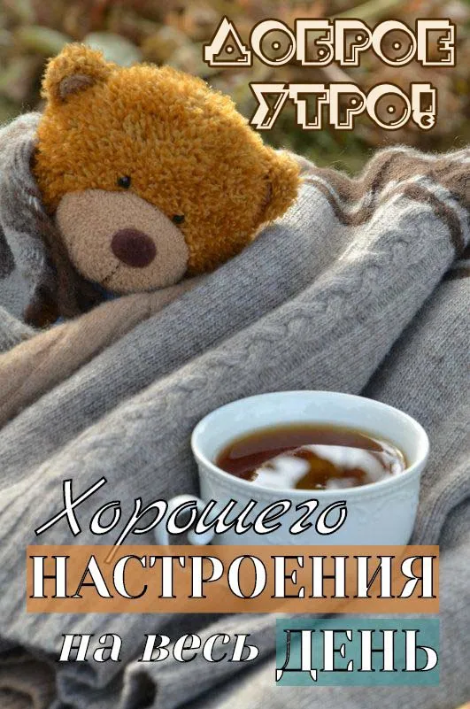 Красивые картинки "Доброе утро". Картинки "Доброе утро" красивые и прикольные
