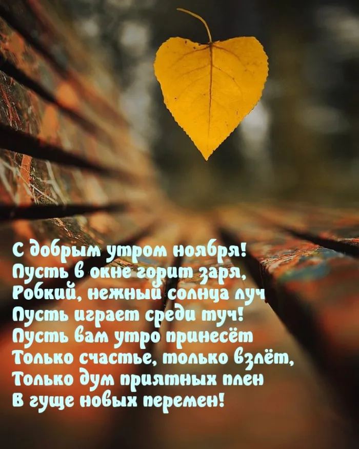 Картинки Доброе утро ноября. Картинки с Добрым утром ноября красивые и прикольноые