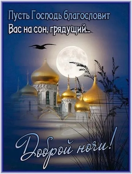 Доброй ночи - картинки красивые и прикольные. Картинки "Доброй ночи" красивые и новые
