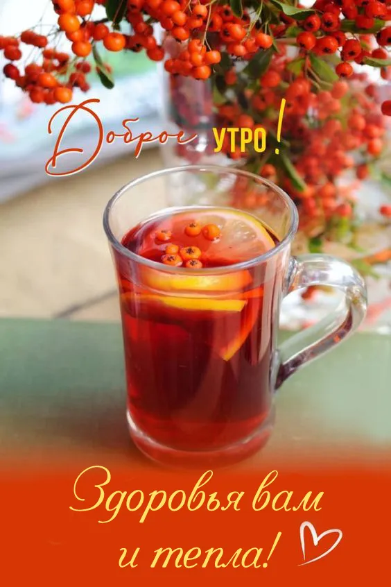 Картинки Доброе утро ноября. Красивые картинки с Добрым утром ноября