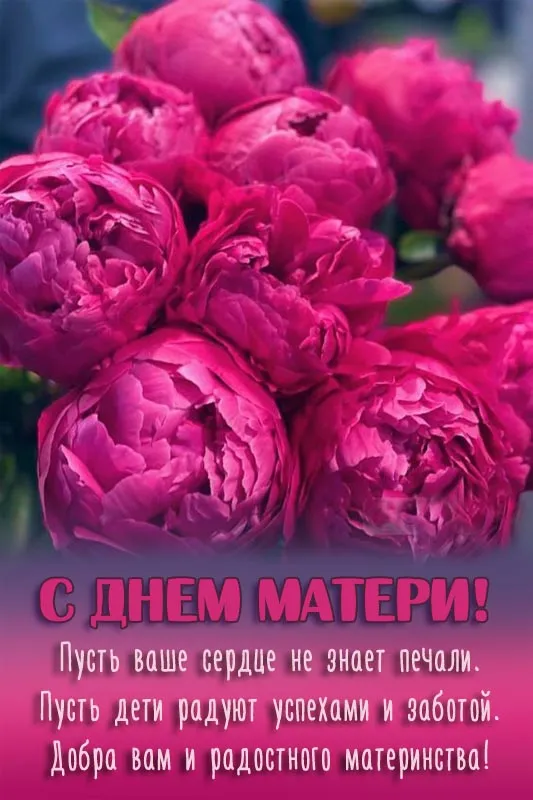 Красивые картинки с Днем Матери (100 открыток). Картинки с Днем Матери красивые и новые