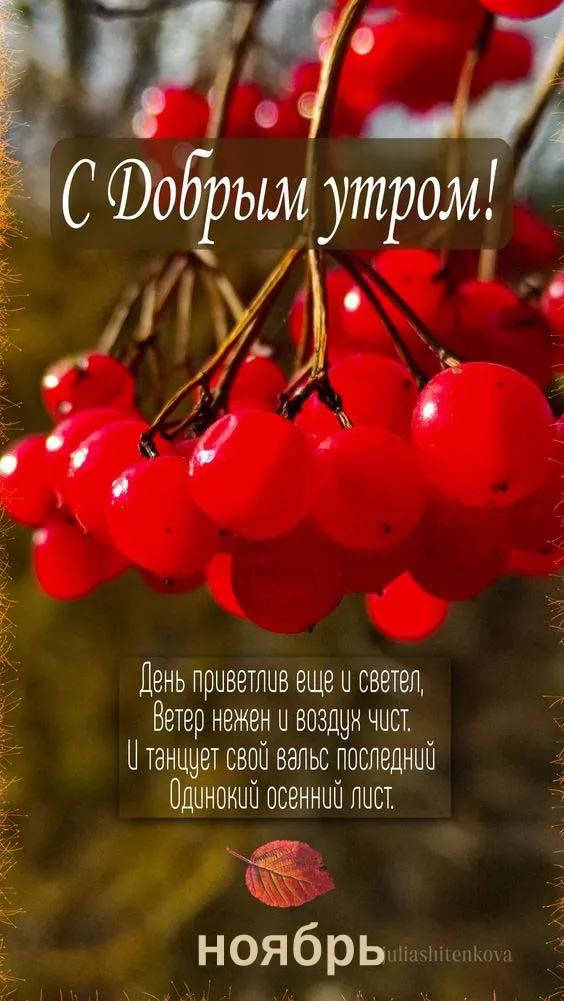 Картинки Доброе утро ноября. Красивые картинки с Добрым утром ноября