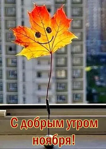 Картинки Доброе утро ноября. Картинки с Добрым утром ноября красивые и прикольноые