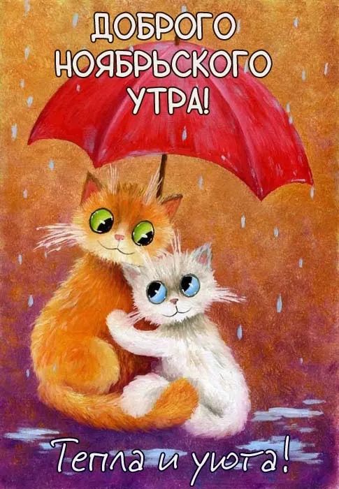 Картинки Доброе утро ноября. Картинки с Добрым утром ноября красивые и прикольноые