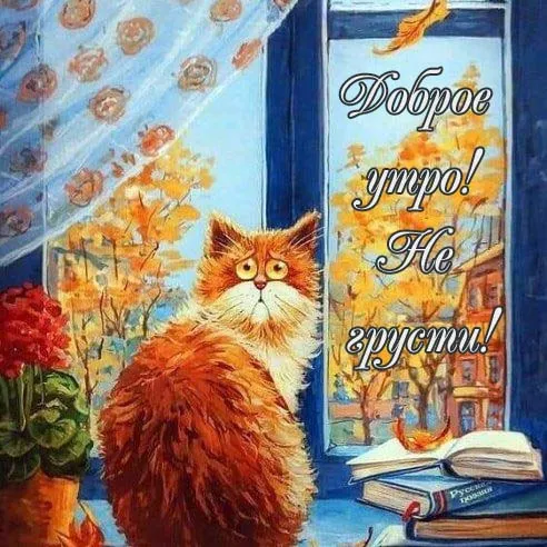 Картинки Доброе утро ноября. Картинки с Добрым утром ноября красивые и прикольноые