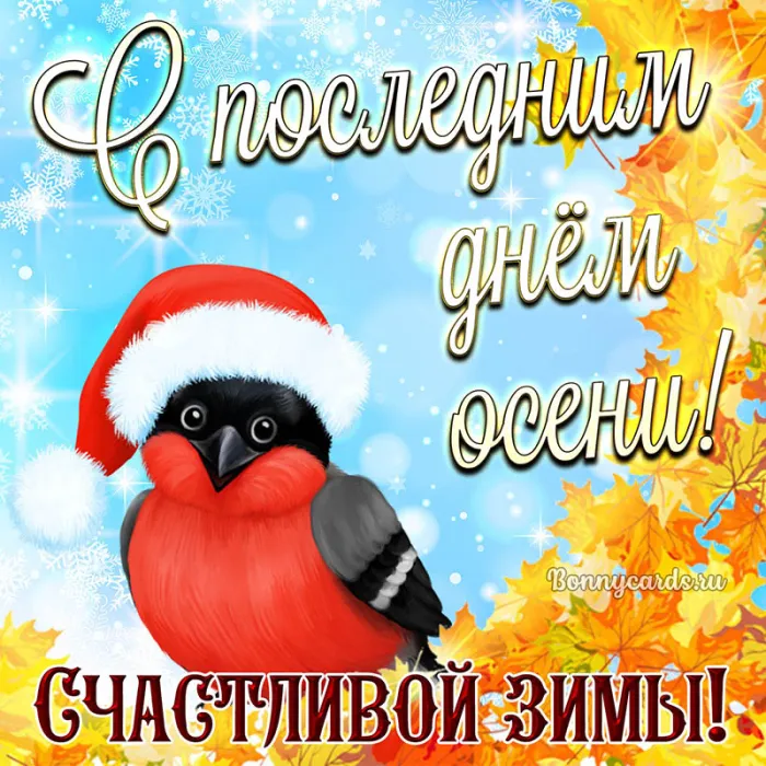 Картинки "С последним Днем осени". Прикольные картинки "С последним днем осени" 