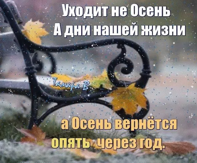 Картинки "С последним Днем осени". Прикольные картинки "С последним днем осени" 