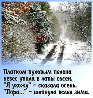 Картинки "С последним Днем осени". С последним Днем осени - картинки с надписями 