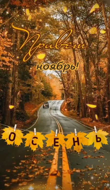 Картинки с 1 ноября (40 штук). Картинки с 1 ноября (красивые и новые)
