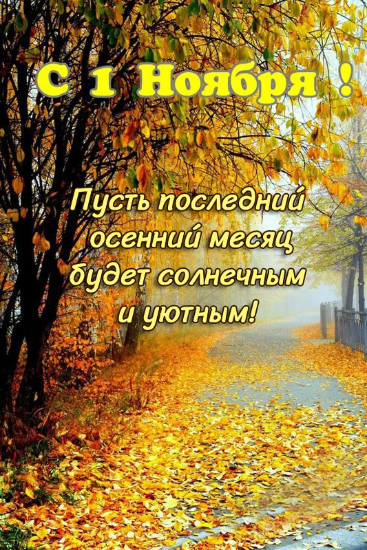 Картинки с 1 ноября (40 штук). Картинки с 1 ноября (красивые и новые)