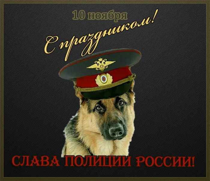 Открытки на День полиции 2024. Открытки "С Днем полиции" прикольные
