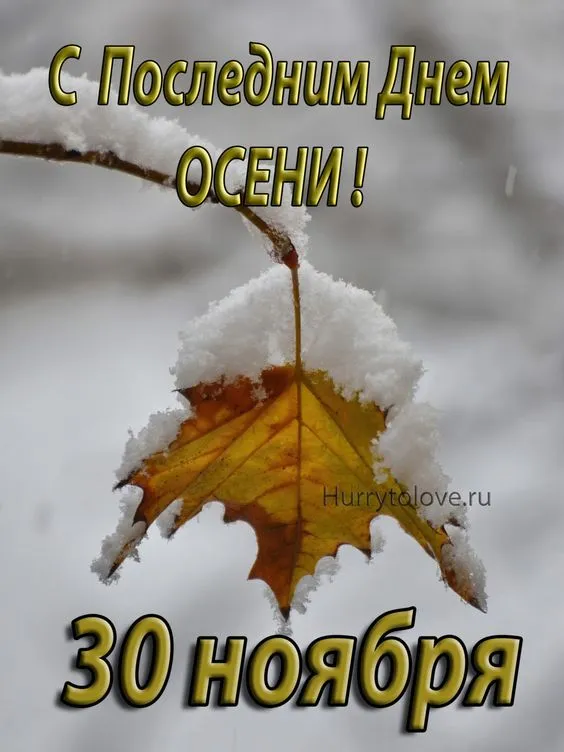 Картинки "С последним Днем осени". Картинки "Последний день осени"