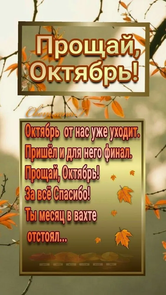 Картинки с 1 ноября (40 штук). Картинки с 1 ноября (красивые и новые)