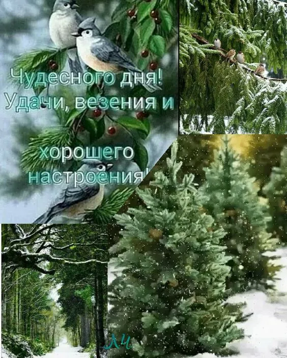 Картинки Доброго зимнего дня. Картинки Доброго зимнего дня и настроения
