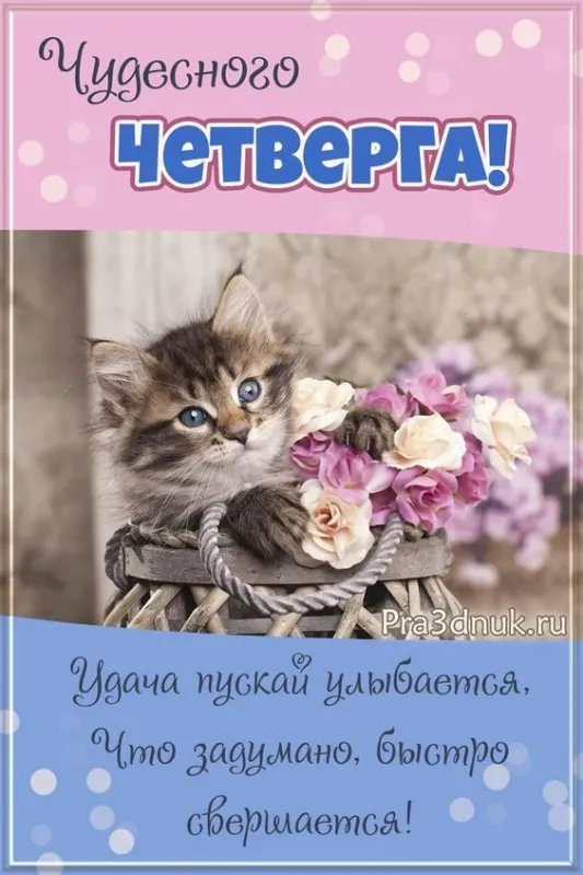 Картинки Доброе утро четверга. Картинки Доброе утро четверга красивые 