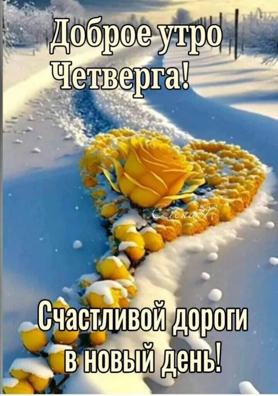 Картинки Доброе утро четверга. Картинки Доброе утро четверга красивые 