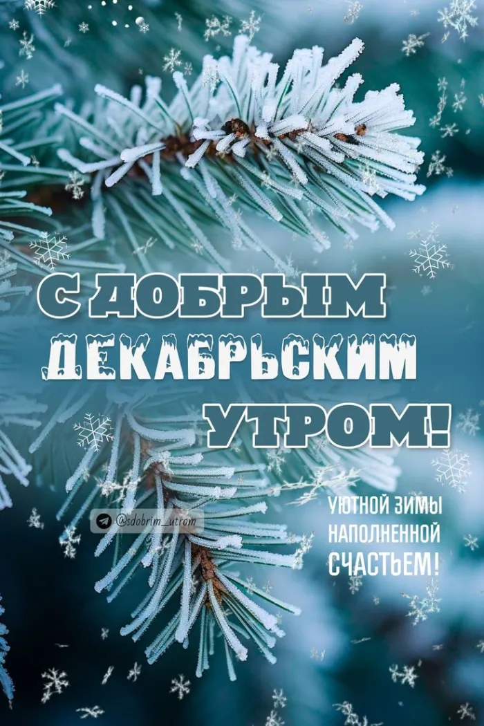 Картинки Доброе утро декабря . Доброе утро декабря - картинки с пожеланиями