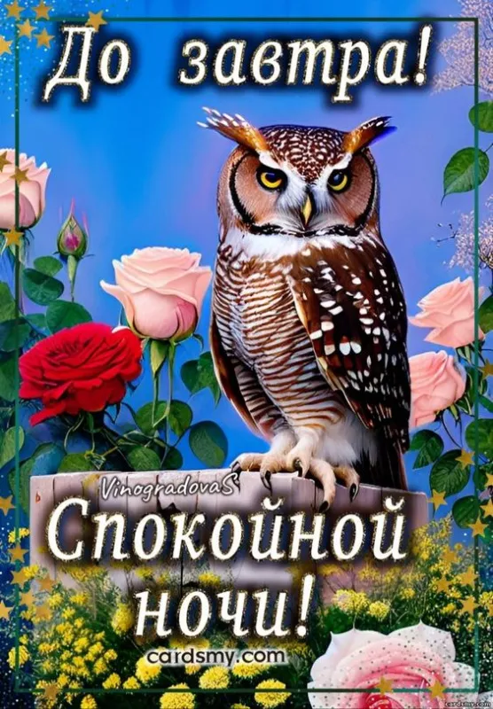 Открытки и Картинки Спокойной ночи . Картинки Спокойной ночи прикольные